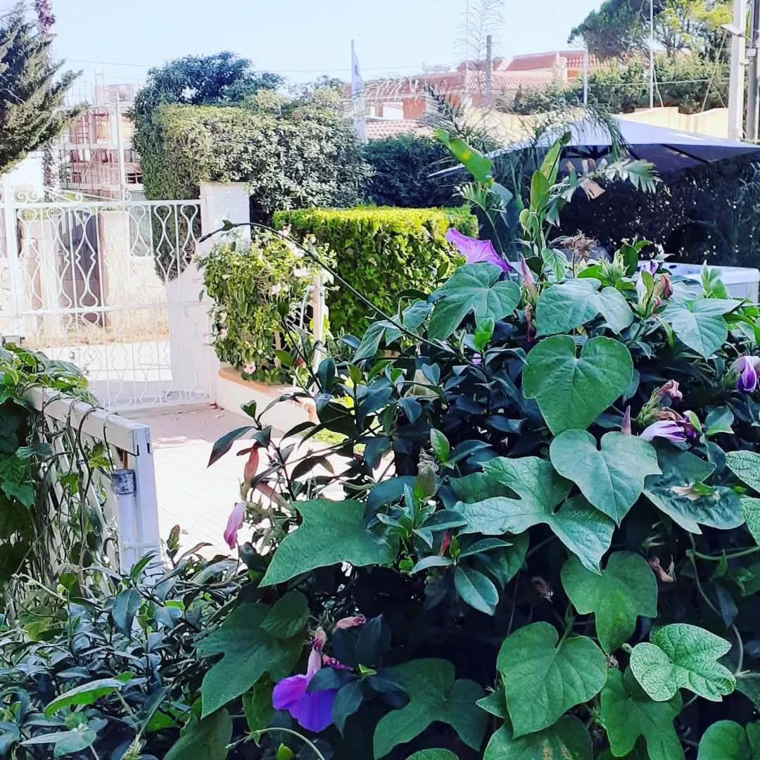 Sottovento Marzamemi Rooms&Relax Экстерьер фото